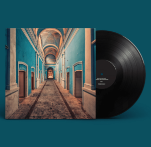 Read more about the article Genz Disk cover