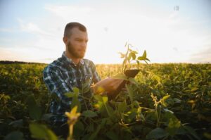 Read more about the article Planting Innovation: Unveiling the Top Agriculture Startups Making Waves