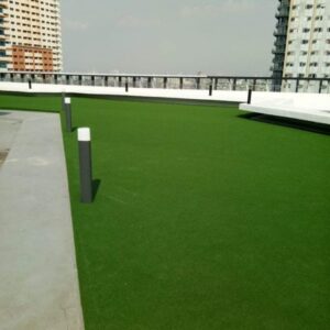 Read more about the article Go Green Effortlessly: Inno Motiff’s Artificial Grass Solutions