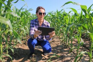 Read more about the article Crops and Code: The Intersection of Innovation in Food and Agriculture