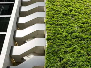 Read more about the article Transforming Urban Spaces with GreenSolutions: A Comprehensive Guide