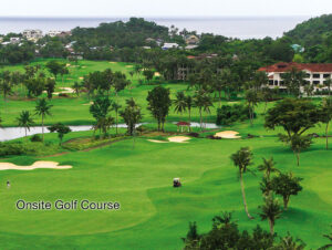 Read more about the article Golf Club Shares for Sale Philippines: Pricing and Market Trends